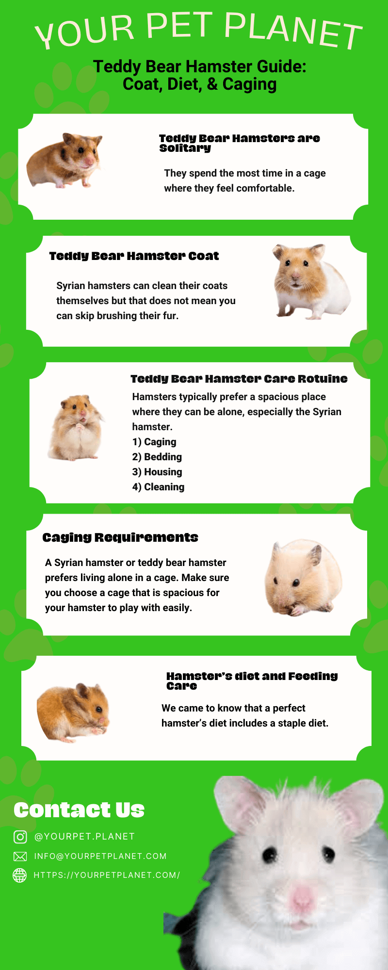 Pet Hamster Lifespan & 'Hamster Years to Human Years' Chart