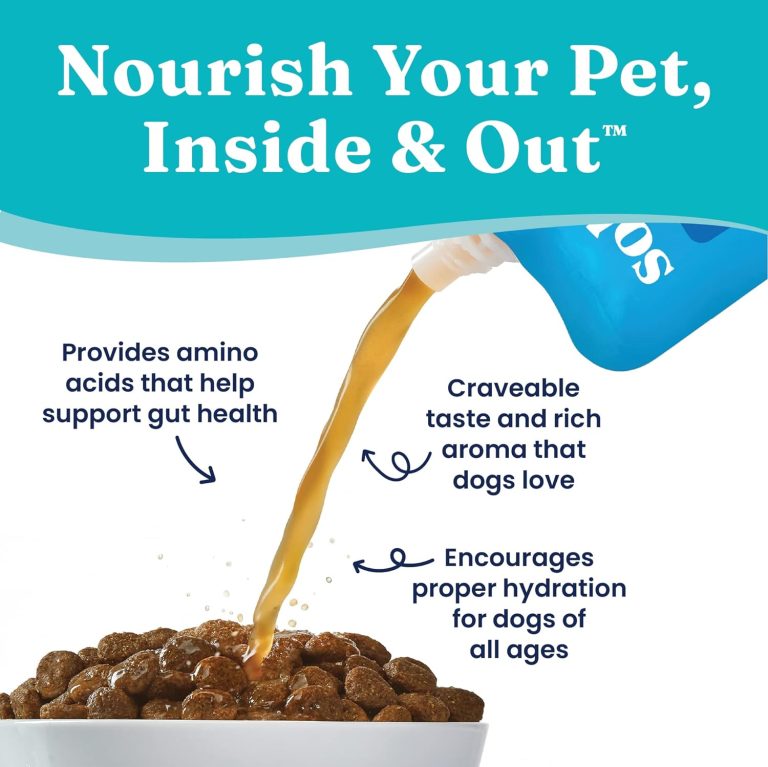 Best Bone Broth for Dogs Top Picks & Guide Your Pet